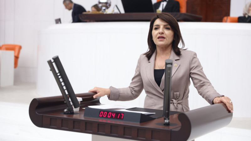 GÜLCAN KIŞ: “DSİ'NİN GÖREVİNİ BELEDİYELERE YIKIYORLAR”